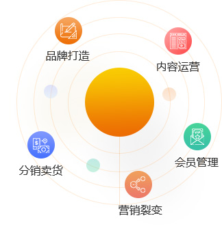 深圳分銷系統(tǒng)開(kāi)發(fā)-分享經(jīng)濟(jì)