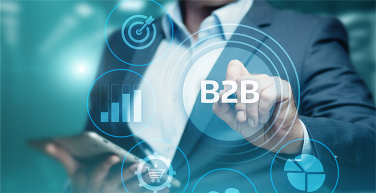 B2B企業(yè)網(wǎng)站建設(shè)